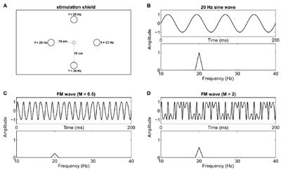 Tradeoff between User Experience and BCI Classification Accuracy with Frequency Modulated Steady-State Visual Evoked Potentials